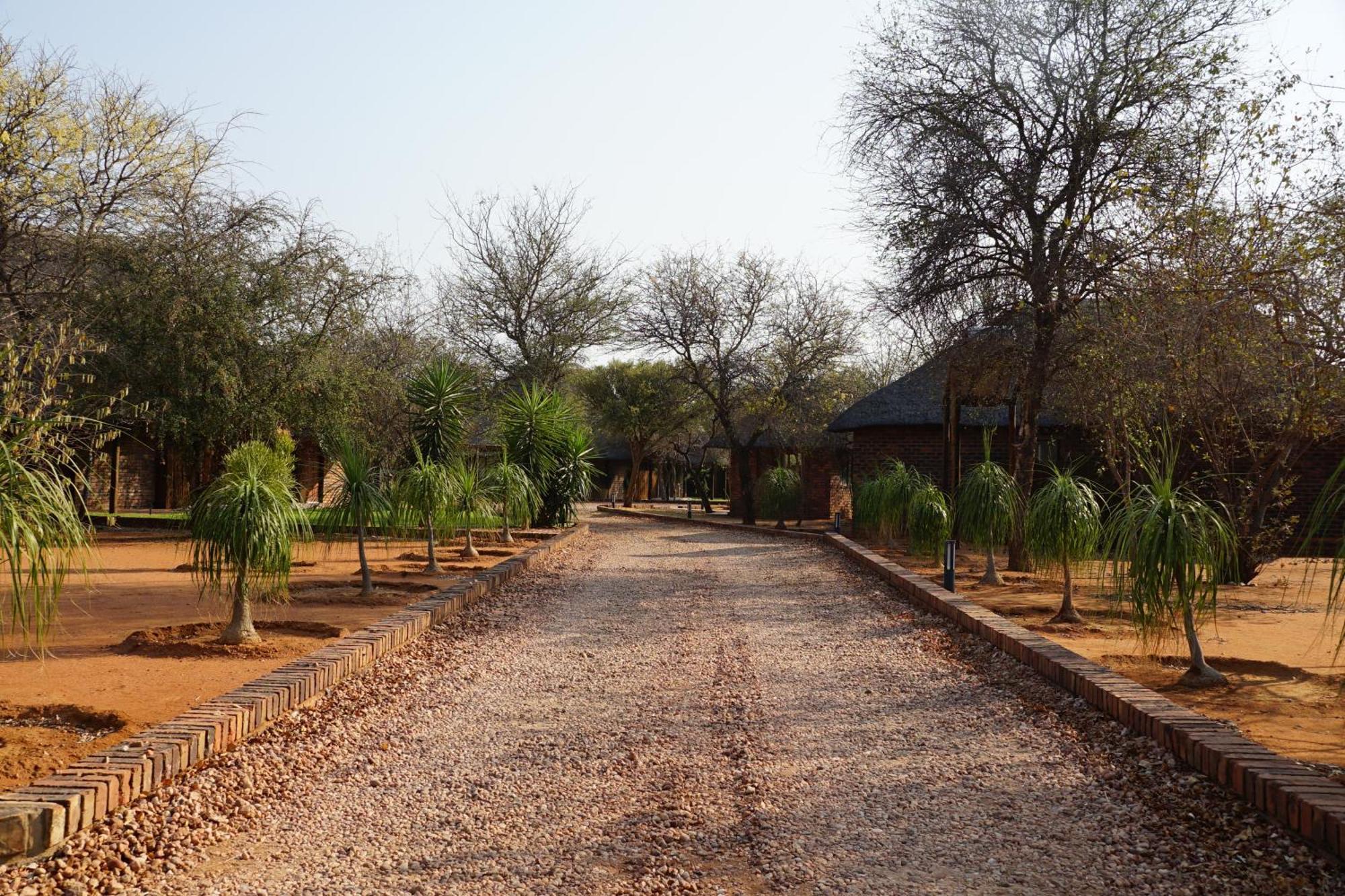 Kwele Game Lodge Beauty Dış mekan fotoğraf